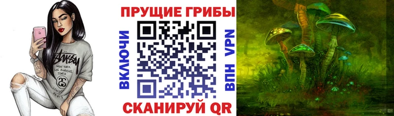 как найти закладки Заозёрный Галлюциногенные грибы Cubensis